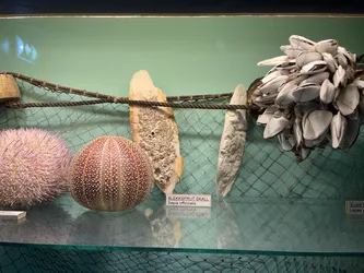 Kabelvåg, Norway – Apple iPhone 13