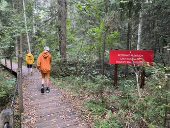 Photo from trip Białowieża National Park