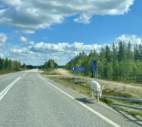 Finland – Apple iPhone 13