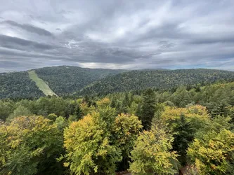 Favorite photo from trip Krynica Zdrój