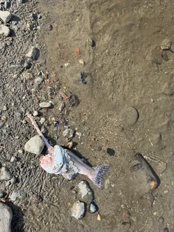 Tana bru, Norway – Apple iPhone 13