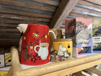 Pohja, Finland – Apple iPhone 13