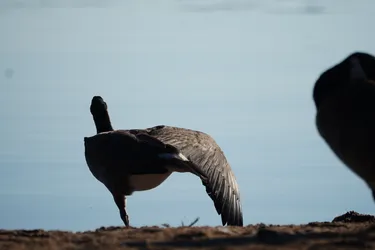 Hollola, Finland – SONY ZV-E10 – Sony FE 70-300mm F4.5-5.6 G OSS