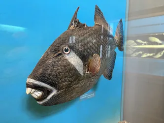 Vienna, Austria – Apple iPhone 13