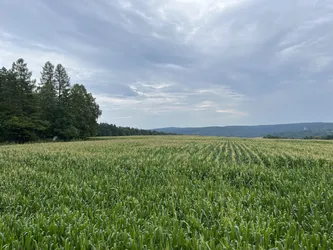 Dubiecko, Poland – Apple iPhone 13