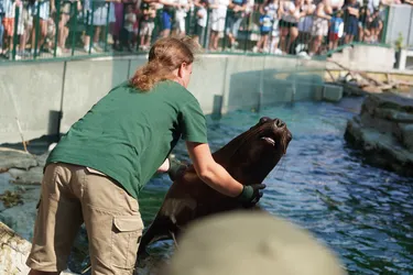 Vienna, Austria – SONY ZV-E10 – Sony FE 70-300mm F4.5-5.6 G OSS