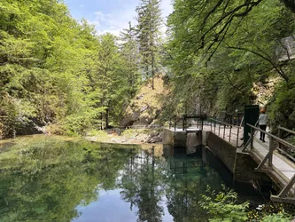 Blejska Dobrava, Slovenia – Apple iPhone 17