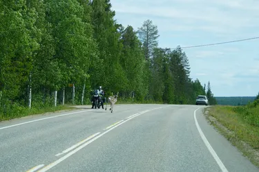 SONY ZV-E10 – Sony FE 70-300mm F4.5-5.6 G OSS