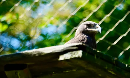 Photo from trip Łódź
