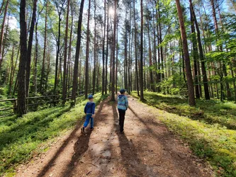 Zwierzyniec, Poland – samsung SM-G970F