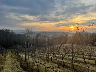 Bodzentyn, Poland – Apple iPhone 12