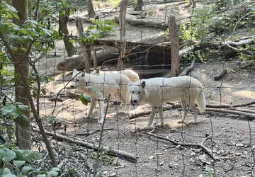 Vienna, Austria – Apple iPhone 13