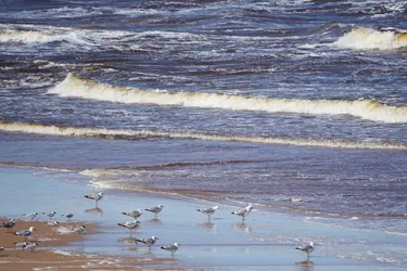 SONY ZV-E10 – Sony FE 70-300mm F4.5-5.6 G OSS