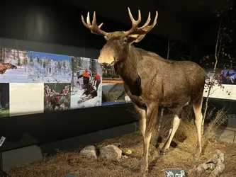 Rovaniemi, Finland – Apple iPhone 13