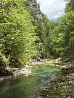 Blejska Dobrava, Slovenia – Apple iPhone 17