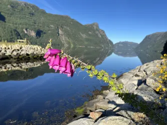 Oltedal, Norway – Apple iPhone 13