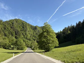 Blejska Dobrava, Slovenia – Apple iPhone 17