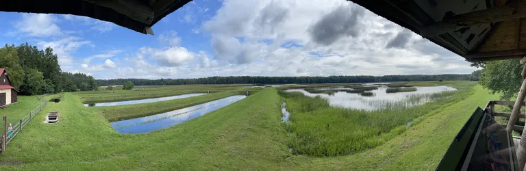 Zwierzyniec, Poland – Apple iPhone 12