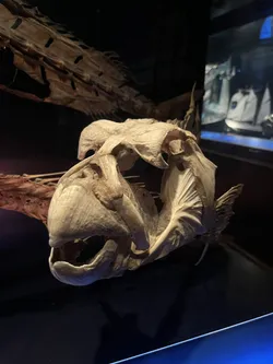 Vienna, Austria – Apple iPhone 13