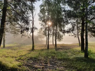 Zwierzyniec, Poland – samsung SM-G970F