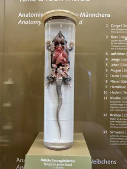 Vienna, Austria – Apple iPhone 13