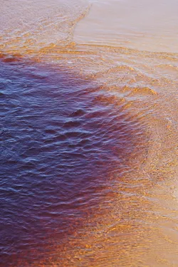 SONY ZV-E10 – Sony FE 70-300mm F4.5-5.6 G OSS