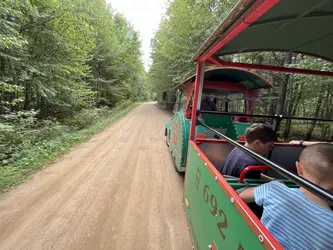 Photo from trip Białowieża National Park