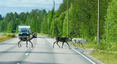 Sodankylä, Finland – SONY ZV-E10 – FE 70-300mm F4.5-5.6 G OSS