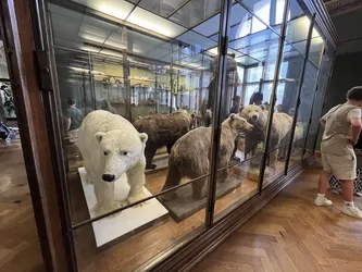 Vienna, Austria – Apple iPhone 13