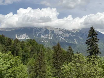 Blejska Dobrava, Slovenia – Apple iPhone 17