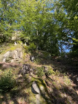 Odrzykoń, Poland – Apple iPhone 13