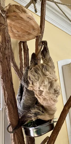 Vienna, Austria – Apple iPhone 13