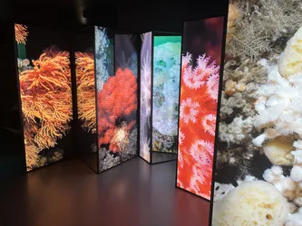 Kabelvåg, Norway – Apple iPhone 13