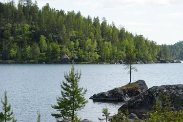 SONY ZV-E10 – Sony FE 70-300mm F4.5-5.6 G OSS