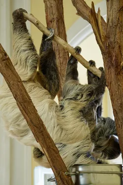 Vienna, Austria – SONY ZV-E10 – FE 70-300mm F4.5-5.6 G OSS