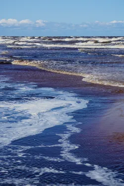 SONY ZV-E10 – Sony FE 70-300mm F4.5-5.6 G OSS