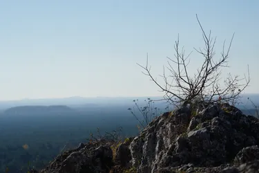 Photo from trip Jura Krakowsko-Częstochowska