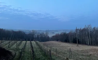 Bodzentyn, Poland – Apple iPhone 12
