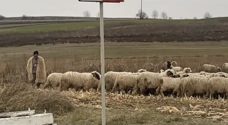 Unirea, Romania – Apple iPhone 17