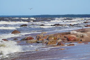 SONY ZV-E10 – Sony FE 70-300mm F4.5-5.6 G OSS