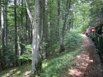 Favorite photo from trip Bieszczady and Beskid Niski