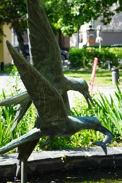 SONY ZV-E10 – Sony FE 70-300mm F4.5-5.6 G OSS