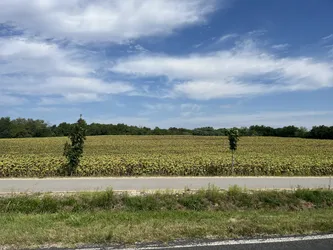 Ács, Hungary – Apple iPhone 13