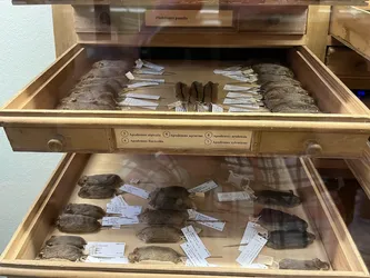 Vienna, Austria – Apple iPhone 13