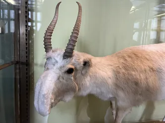 Vienna, Austria – Apple iPhone 13