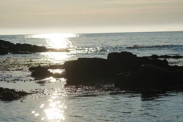 Ramberg, Norway – SONY ZV-E10 – Sony FE 70-300mm F4.5-5.6 G OSS