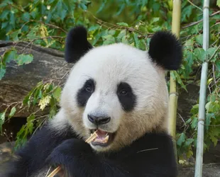 Vienna, Austria – SONY ZV-E10 – FE 70-300mm F4.5-5.6 G OSS