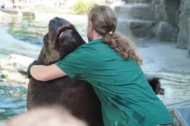 Vienna, Austria – SONY ZV-E10 – Sony FE 70-300mm F4.5-5.6 G OSS