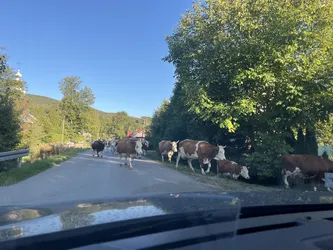 Sękowa, Poland – Apple iPhone 13