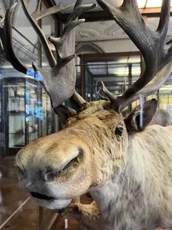 Vienna, Austria – Apple iPhone 13